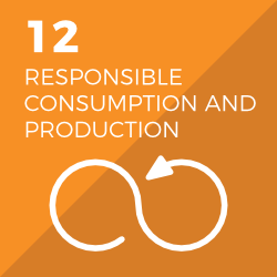 SDGs 12