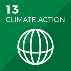 SDGs 13