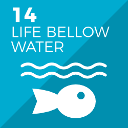 SDGs 14