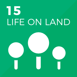 SDGs 15