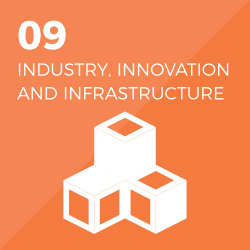 SDGs 9
